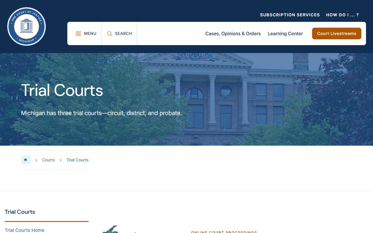 Montcalm County court dockets span the Michigan trial court structure