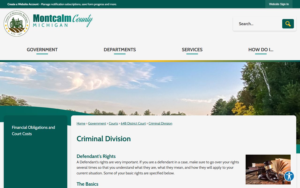 Montcalm County criminal court records rights and plea options on the 64B District Court Criminal Division page